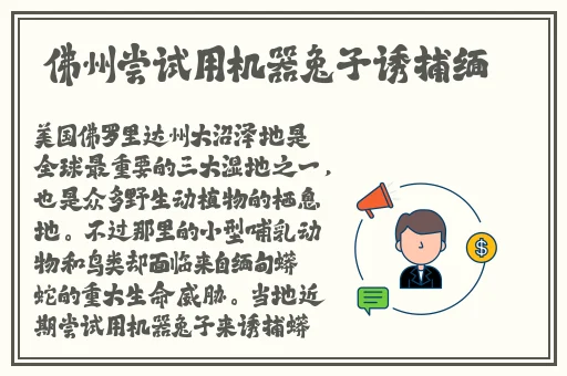 精品久久久久免费视